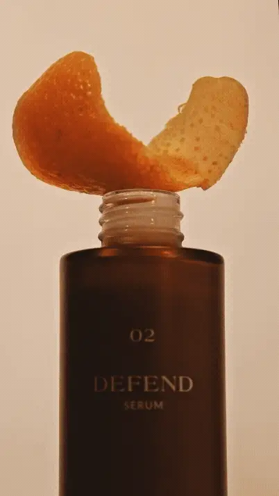 DEFEND - Image 3